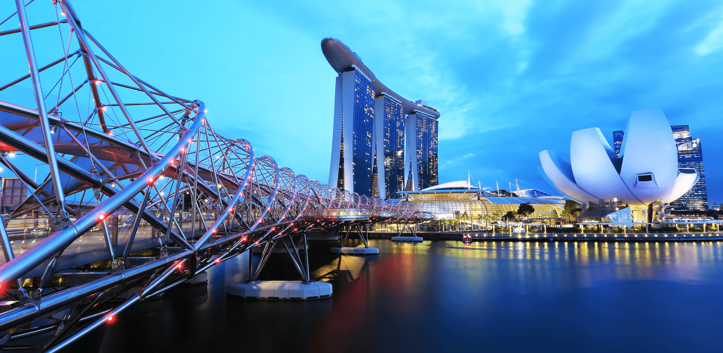 singapore immigration